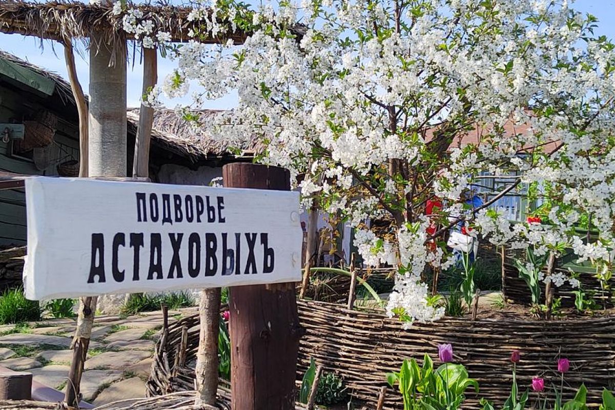 х. Старозолотовский + Бал хризантем - «Винодельня Ведерников»