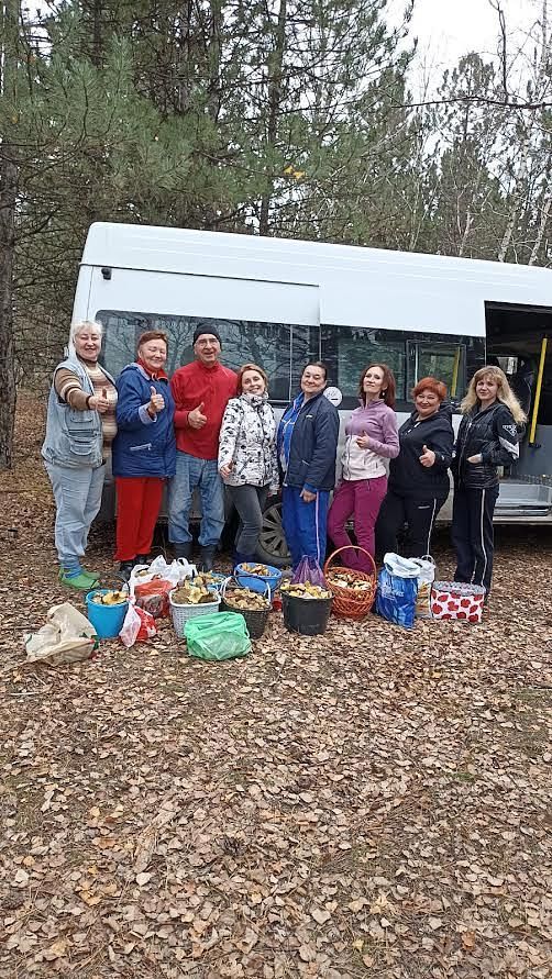 Осенний тур в лес за грибами